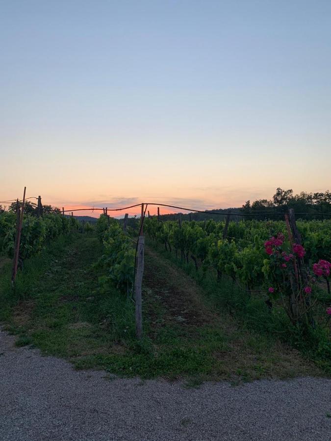 Cardo Boutique&Wine Resort Malchina Εξωτερικό φωτογραφία