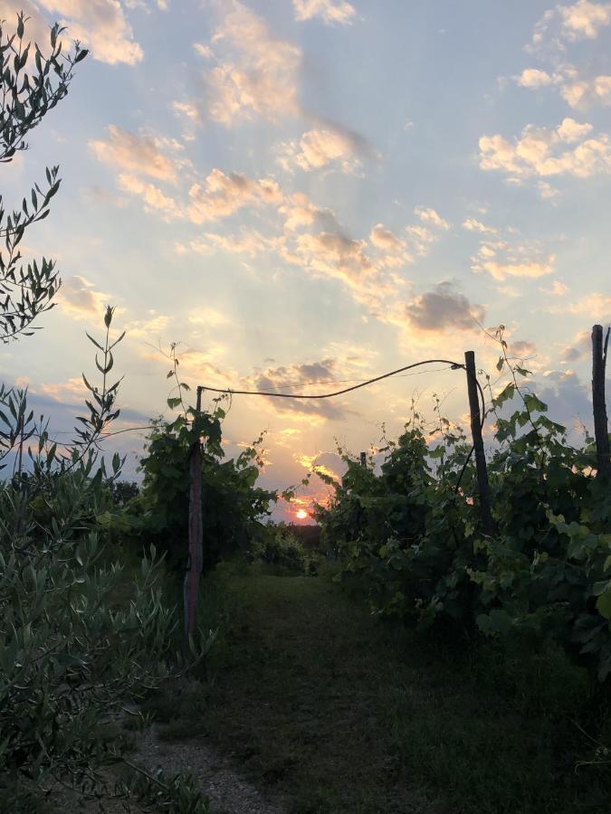 Cardo Boutique&Wine Resort Malchina Εξωτερικό φωτογραφία