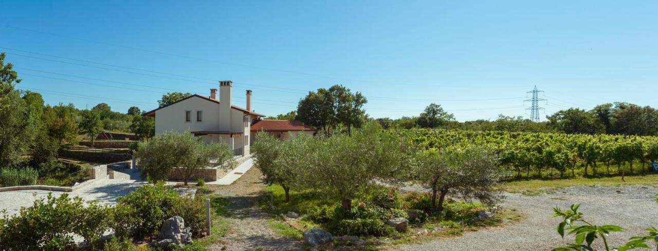 Cardo Boutique&Wine Resort Malchina Εξωτερικό φωτογραφία