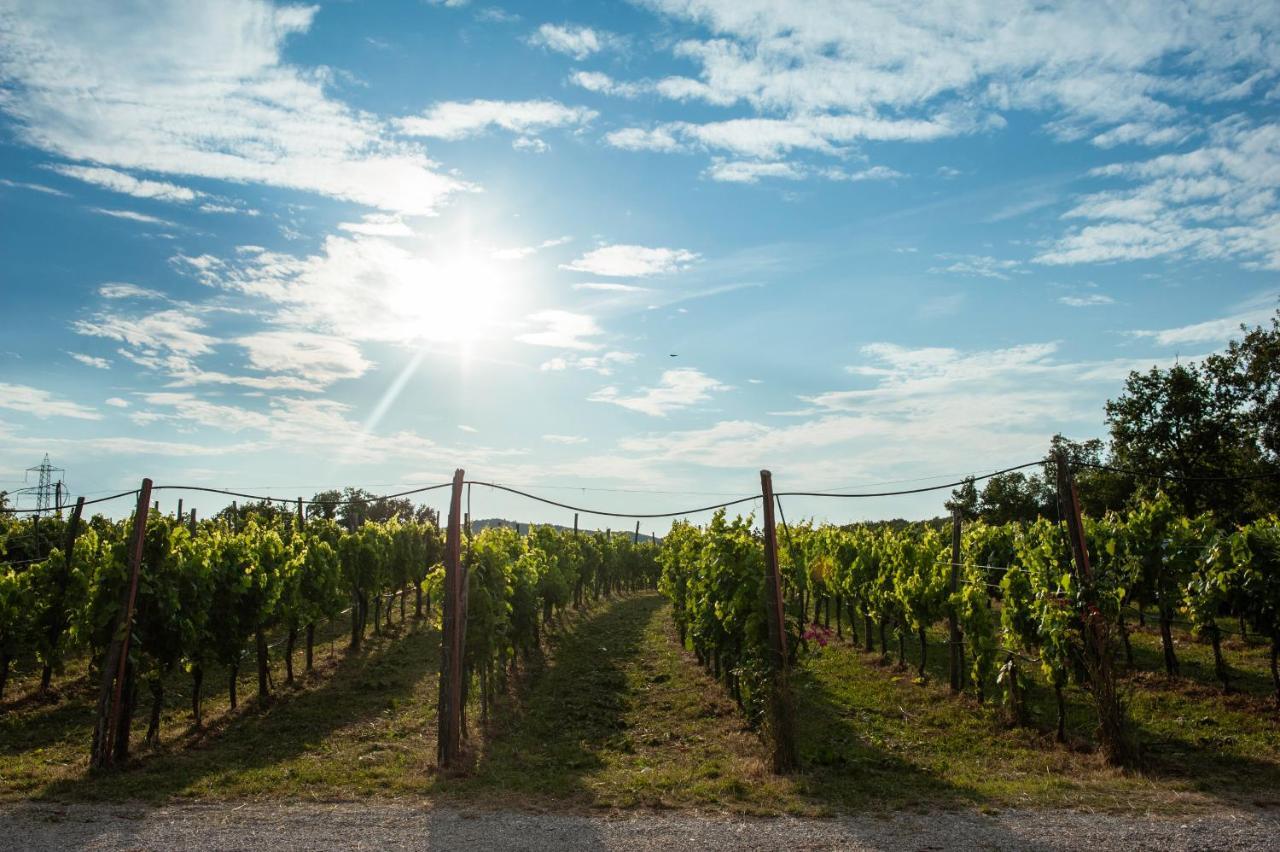 Cardo Boutique&Wine Resort Malchina Εξωτερικό φωτογραφία