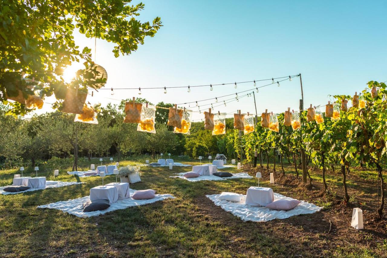 Cardo Boutique&Wine Resort Malchina Εξωτερικό φωτογραφία