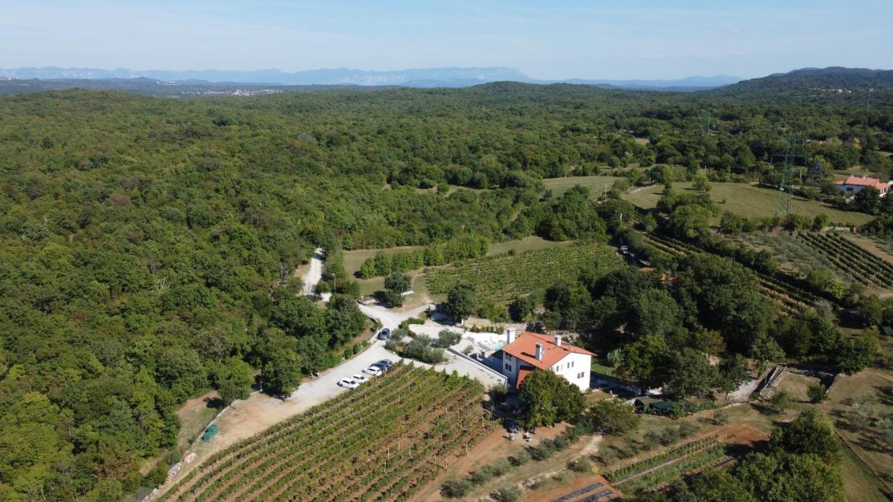 Cardo Boutique&Wine Resort Malchina Εξωτερικό φωτογραφία