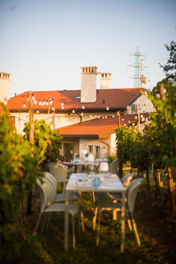 Cardo Boutique&Wine Resort Malchina Εξωτερικό φωτογραφία