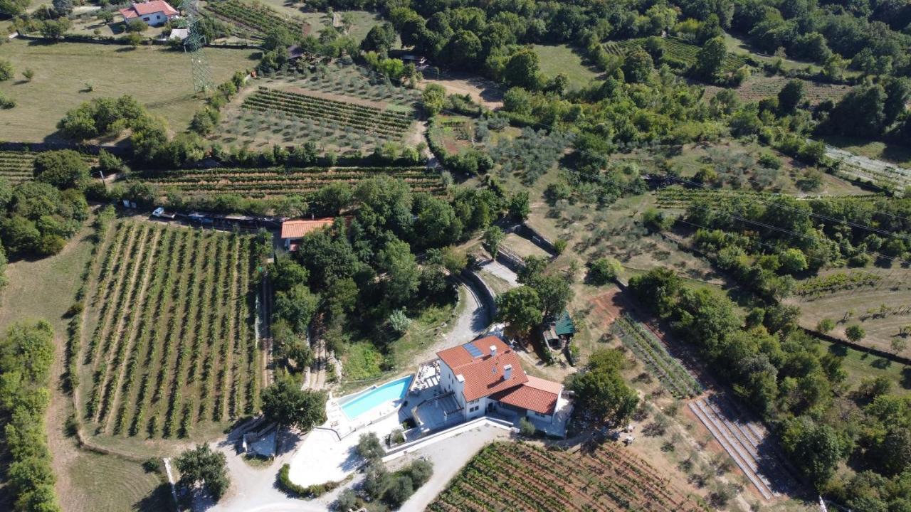 Cardo Boutique&Wine Resort Malchina Εξωτερικό φωτογραφία